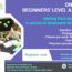 On-campus beginner’s level A2 course in August 2022